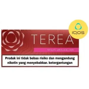 TEREA Sienna Indonesia pack, full woody tobacco sticks